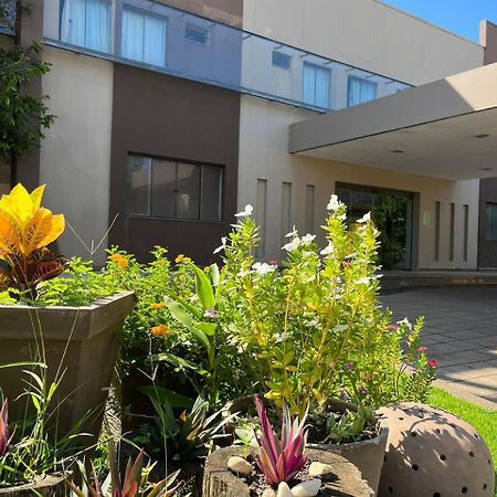 Maximus Business Hotel Ji-Paraná Exterior foto